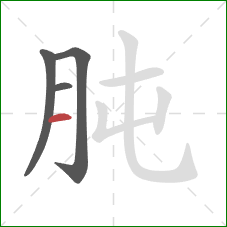 肫的笔顺第4画：横