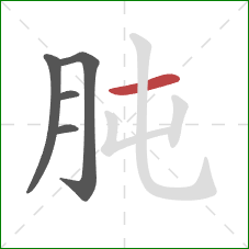 肫的笔顺第5画：横