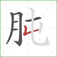 肫的笔顺第6画：竖折