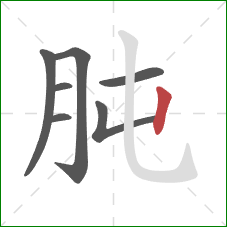 肫的笔顺第7画：竖