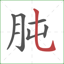 肫的笔顺第8画：竖弯钩