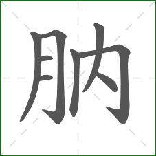 肭的笔顺