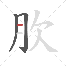 肷的笔顺第3画：横