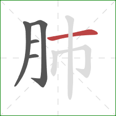 肺的笔顺第5画：横