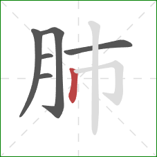 肺的笔顺第6画：竖