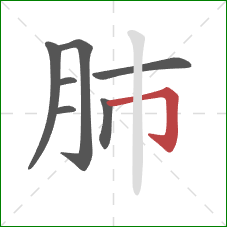 肺的笔顺第7画：横折钩