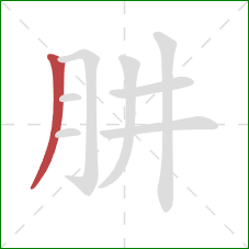 肼的笔顺第1画：撇