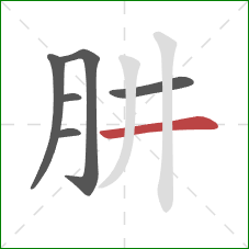 肼的笔顺第6画：横