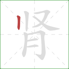肾的笔顺第1画：竖