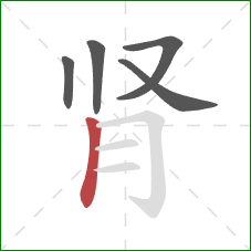 肾的笔顺第5画：竖