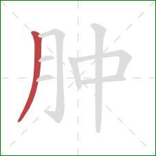 肿的笔顺第1画：撇