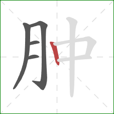 肿的笔顺第5画：竖