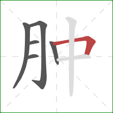 肿的笔顺第6画：横折