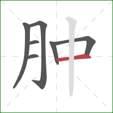 肿的笔顺第7画：横