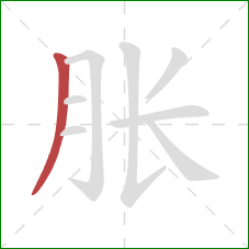 胀的笔顺第1画：撇