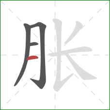 胀的笔顺第4画：横