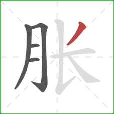 胀的笔顺第5画：撇