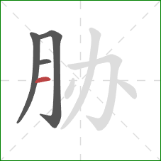 胁的笔顺第4画：横