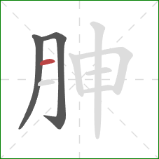 胂的笔顺第3画：横