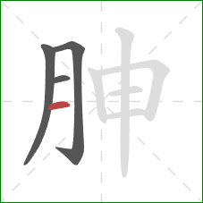 胂的笔顺第4画：横