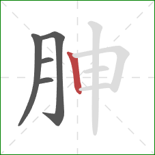 胂的笔顺第5画：竖