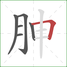 胂的笔顺第6画：横折