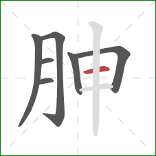 胂的笔顺第7画：横