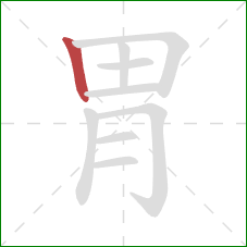 胃的笔顺第1画：竖