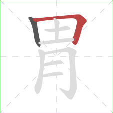 胃的笔顺第2画：横折