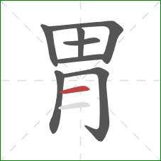 胃的笔顺第8画：横