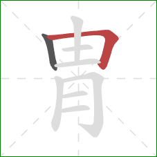 胄的笔顺第2画：横折