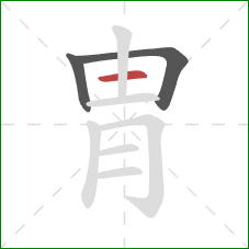 胄的笔顺第3画：横