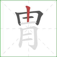 胄的笔顺第4画：竖