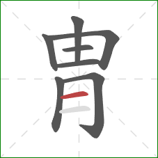 胄的笔顺第8画：横