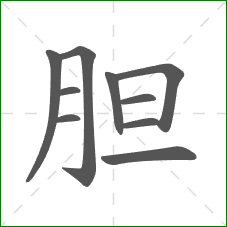 胆的笔顺