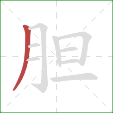 胆的笔顺第1画：撇