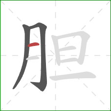 胆的笔顺第3画：横