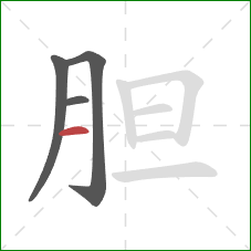 胆的笔顺第4画：横