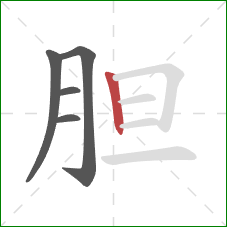 胆的笔顺第5画：竖