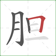 胆的笔顺第6画：横折