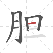 胆的笔顺第7画：横