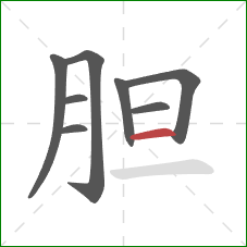 胆的笔顺第8画：横