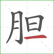 胆的笔顺第9画：横