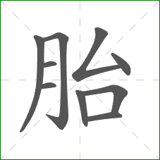 胎的笔顺