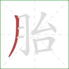 胎的笔顺第1画：撇