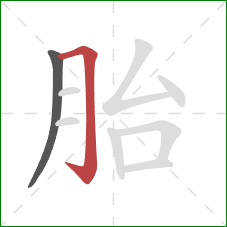 胎的笔顺第2画：横折钩