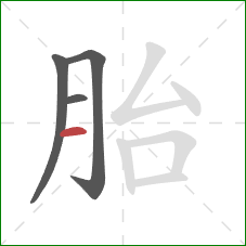 胎的笔顺第4画：横