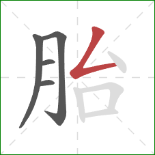 胎的笔顺第5画：撇折