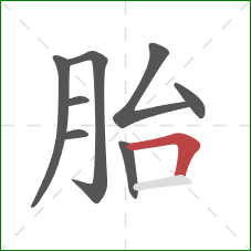 胎的笔顺第8画：横折