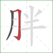 胖的笔顺第2画：横折钩